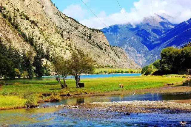 成都夹金山环线,成都夹金山骑行视频