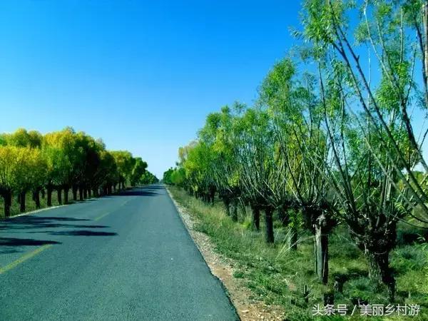 陕西省美丽宜居示范村,陕西美丽乡村名录