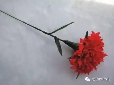 母亲节康乃馨图片大全大图,母亲节礼物手工康乃馨用卫生纸折