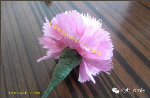 母亲节康乃馨图片大全大图,母亲节礼物手工康乃馨用卫生纸折