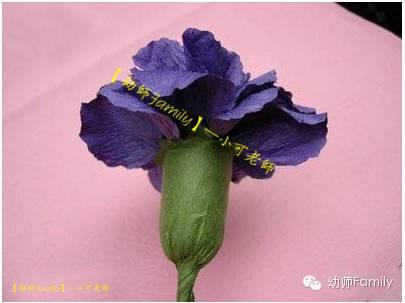 母亲节康乃馨图片大全大图,母亲节礼物手工康乃馨用卫生纸折