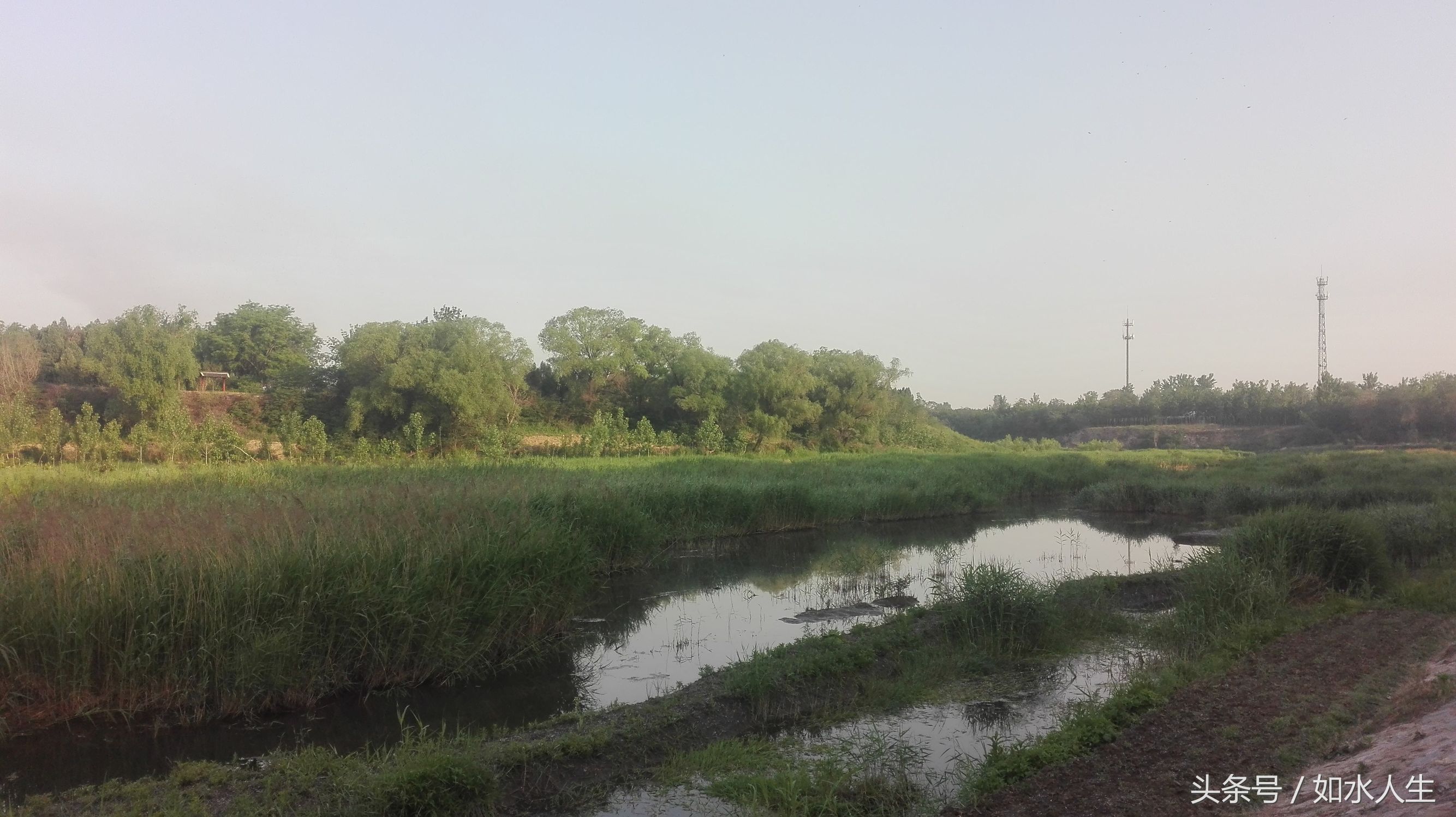 洹河晨色（随笔）