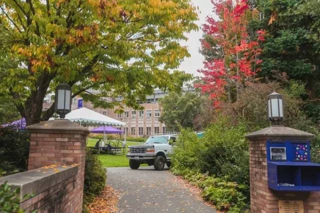 西雅图最浪漫的地方,西雅图一个充满文艺又浪漫的地方