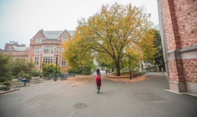 西雅图最浪漫的地方,西雅图一个充满文艺又浪漫的地方