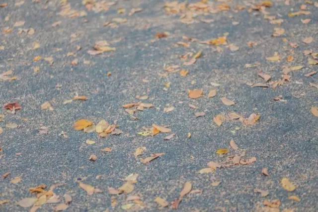 西雅图最浪漫的地方,西雅图一个充满文艺又浪漫的地方