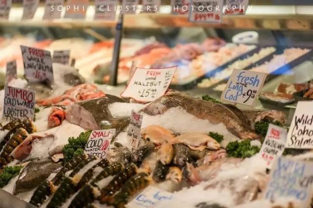 西雅图最浪漫的地方,西雅图一个充满文艺又浪漫的地方