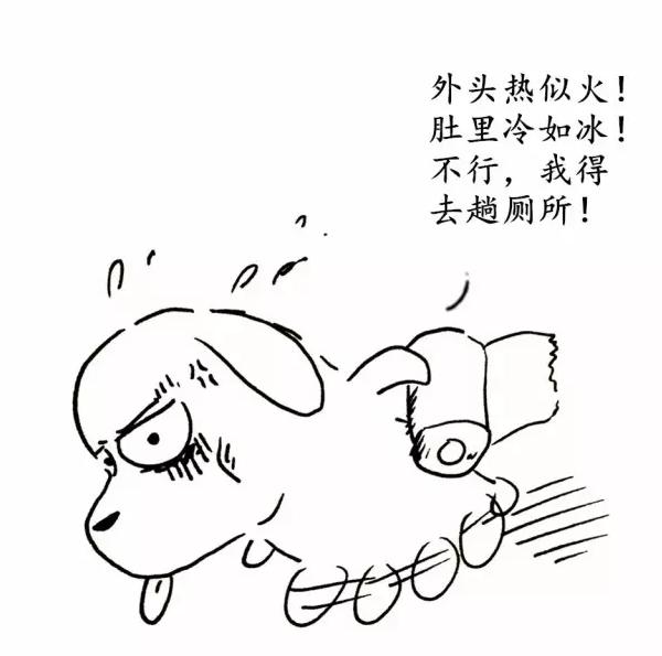 怎么让狗狗变贪吃,夏天怎么让狗毛不乱飞