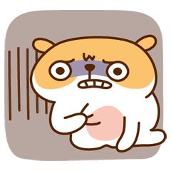 无锡幼升小最新数据,无锡大桥民办幼升小录取