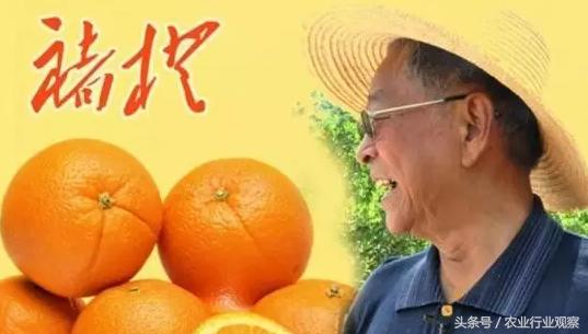 农产品创业故事,如何讲好农产品的故事