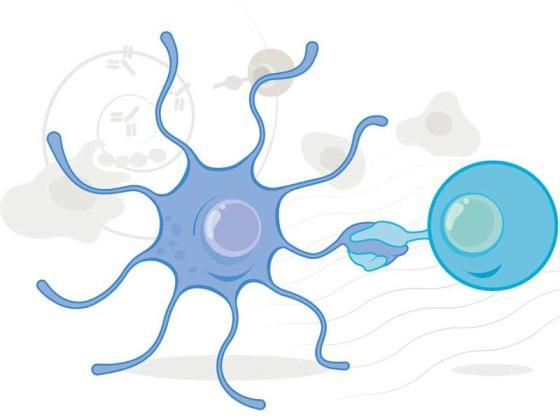 新生儿乙肝联合免疫多久有效,婴儿感染了乙肝自愈的概率