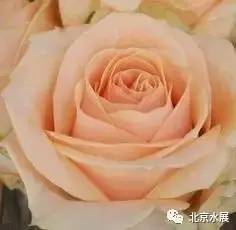 全球顶级水处理展会,广东国际水处理技术与设备展览会