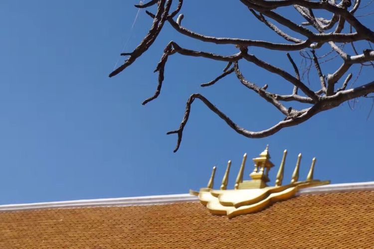 带你一起泰国旅游,清迈普吉自由行