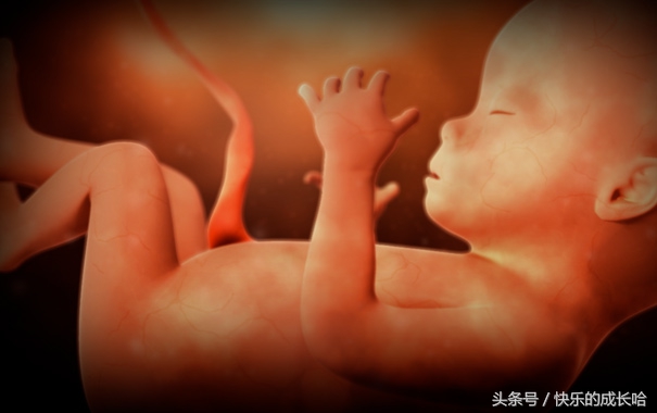怀孕19到二十周孕妈的变化和症状,怀孕18周胎儿的状态是怎样的