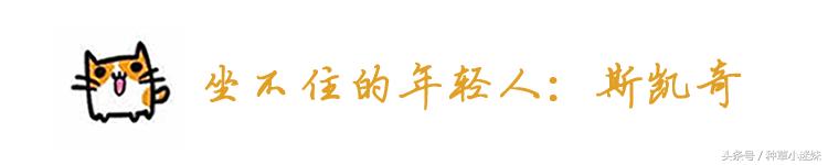 小个子白鞋推荐品牌,春夏小白鞋排行榜第一名