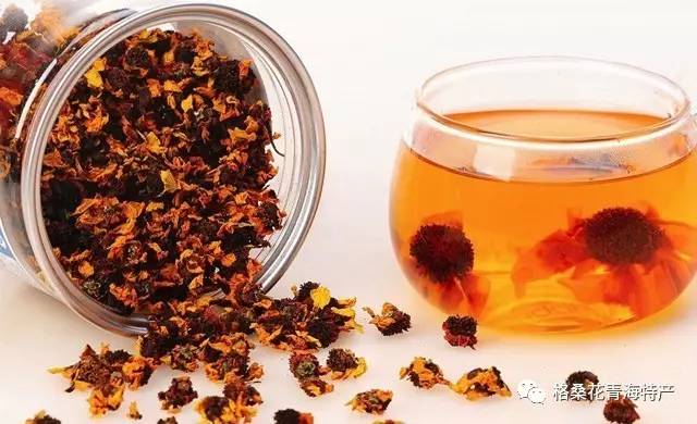 真正的天山昆仑雪菊哪里买,天山昆仑雪菊低血糖的人能喝不