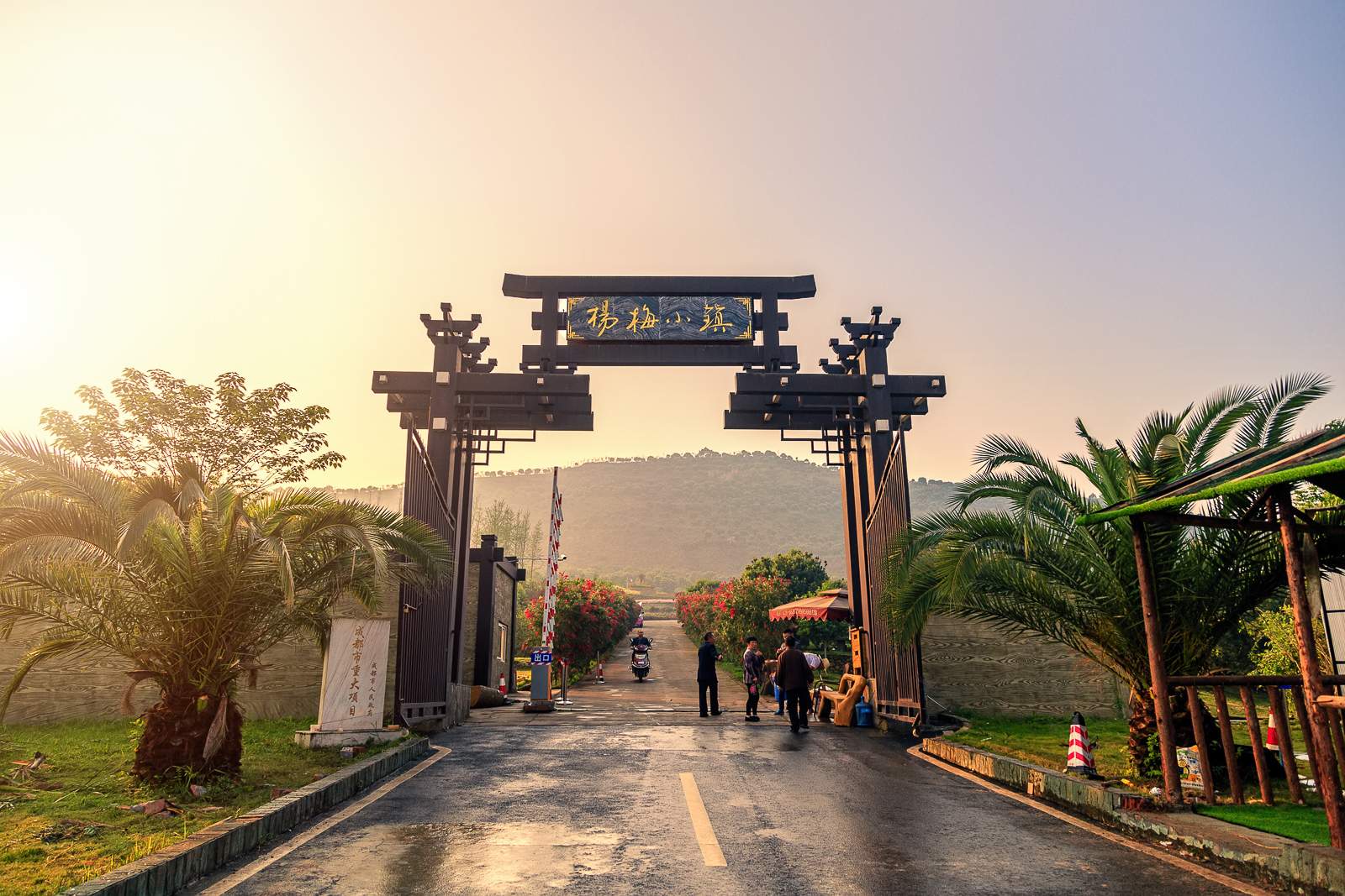 杨梅小镇简介,杨梅小镇的杨梅几月成熟