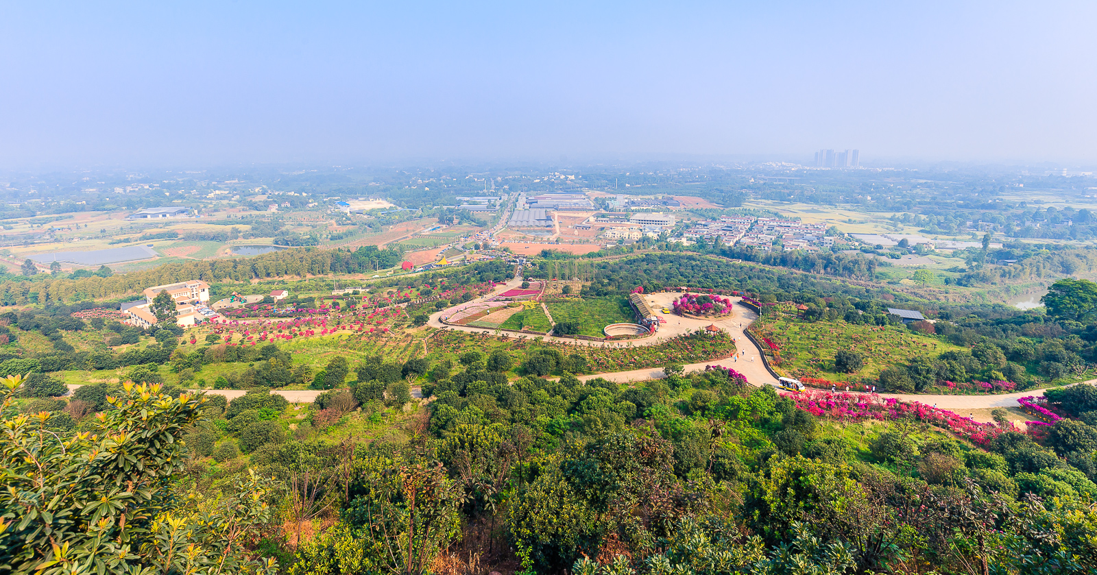 杨梅小镇简介,杨梅小镇的杨梅几月成熟