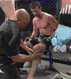 我有一个大胆的想法完整,我有一个大胆的想法幽默搞笑