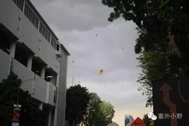 新加坡必备攻略,新加坡全程地铁游玩