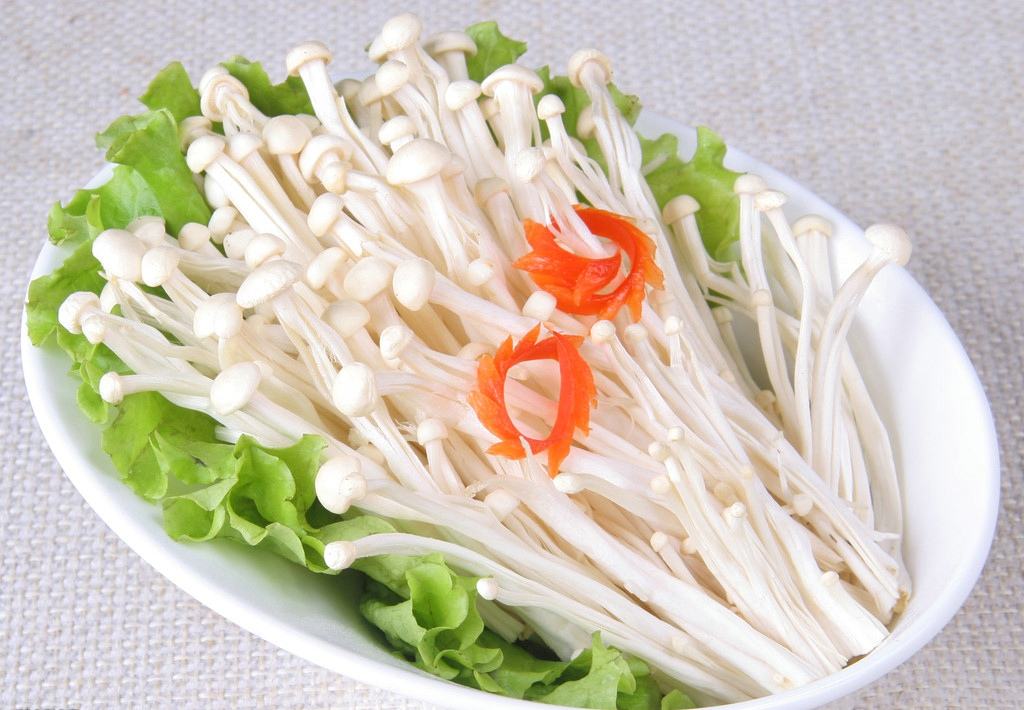 中医辨证饮食的护理ppt,中医辨证饮食试题及答案