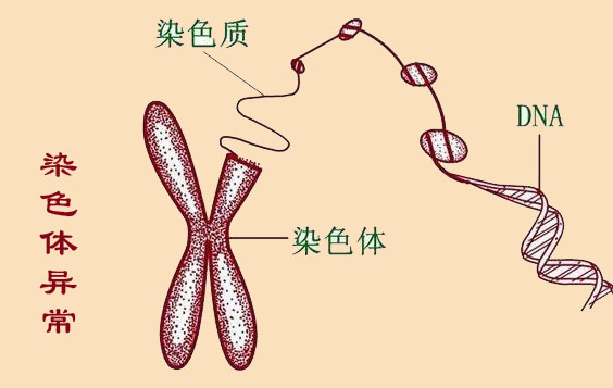 备孕必做检查准爸准妈千万别忽略,孕前优生优育检查项目有哪些