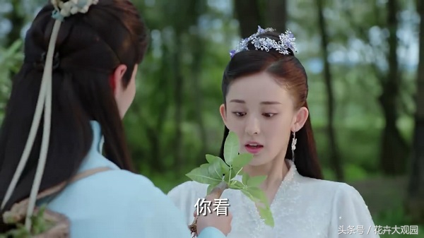 发财树吃多了竟然可以升仙？导演，我读书少你不要骗我！