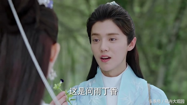 发财树吃多了竟然可以升仙？导演，我读书少你不要骗我！