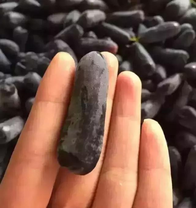 澳洲金手指黑提大概多少钱一斤,澳洲金手指黑提国内能种吗