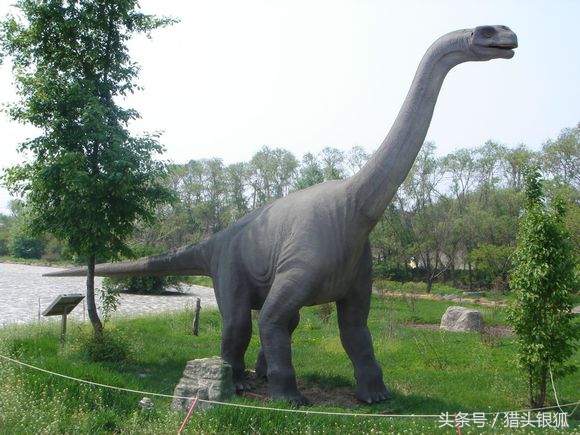 恐龙灭亡真相揭秘,各类恐龙生活的年代及灭亡时间