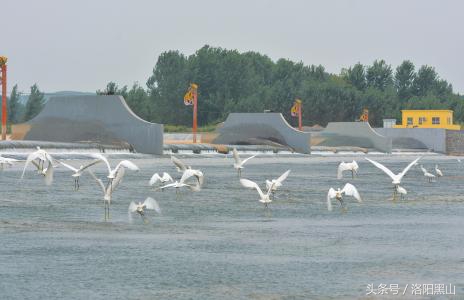 小女人的生活日记,如愿小女人日记