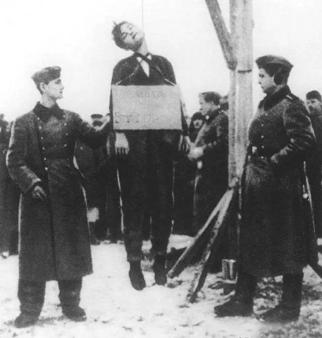 不受降，杀无赦！一个18岁少女的临死呼唤让斯大林动怒