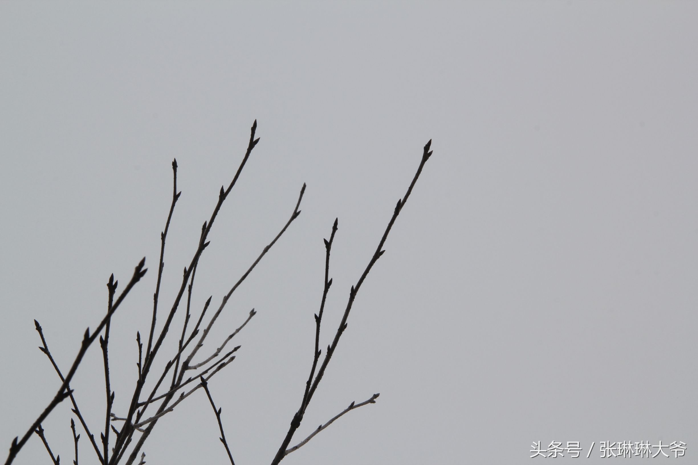 北京姑娘徒步完整视频,北京姑娘旅行