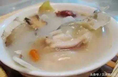 天然的血管支架,被称为血管天然支架的药材是