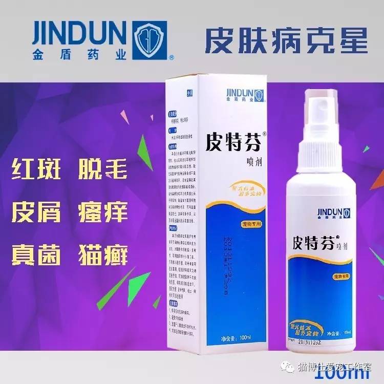 怎么看猫咪有没有猫藓啊,你的猫咪有什么坏习惯