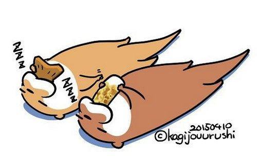 熬夜复习?背书?还是睡觉有用