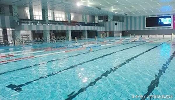 优质游泳馆推荐,游泳馆清凉一夏