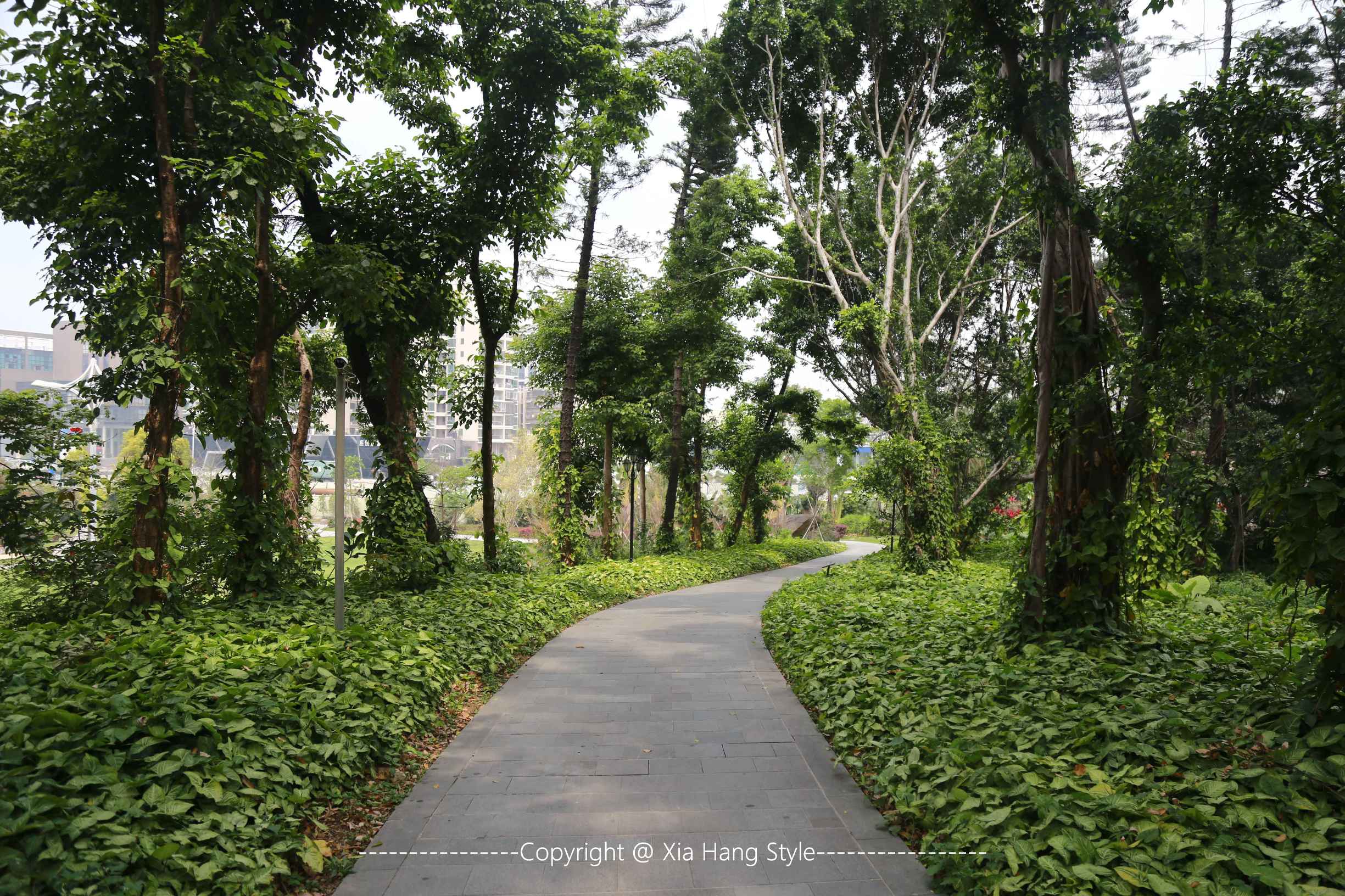 福建最好的5星级酒店,福建最好的五星级酒店