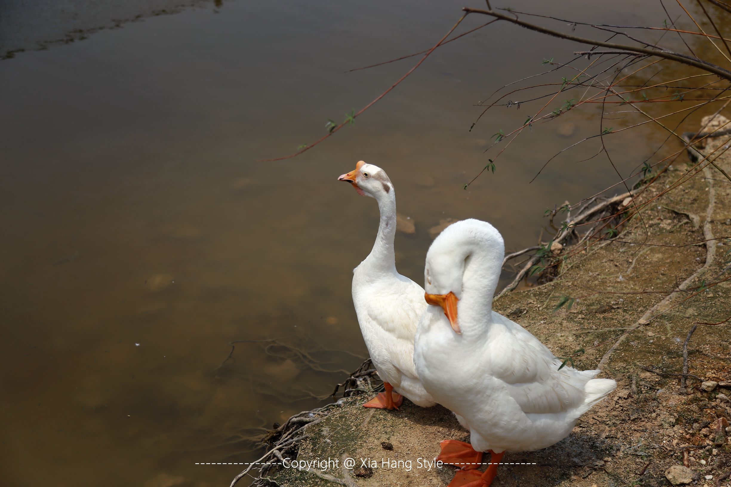 福建最好的5星级酒店,福建最好的五星级酒店