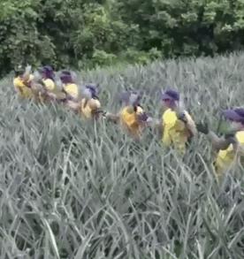 美女你这身材,玩这个动作是不是太危险了