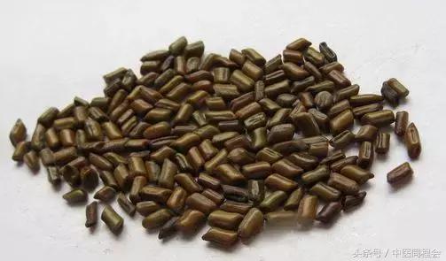 鏄庣湼鍠勭潗缇庣灣,鏄庣湼鍠勭潗娓呬附鑴变織