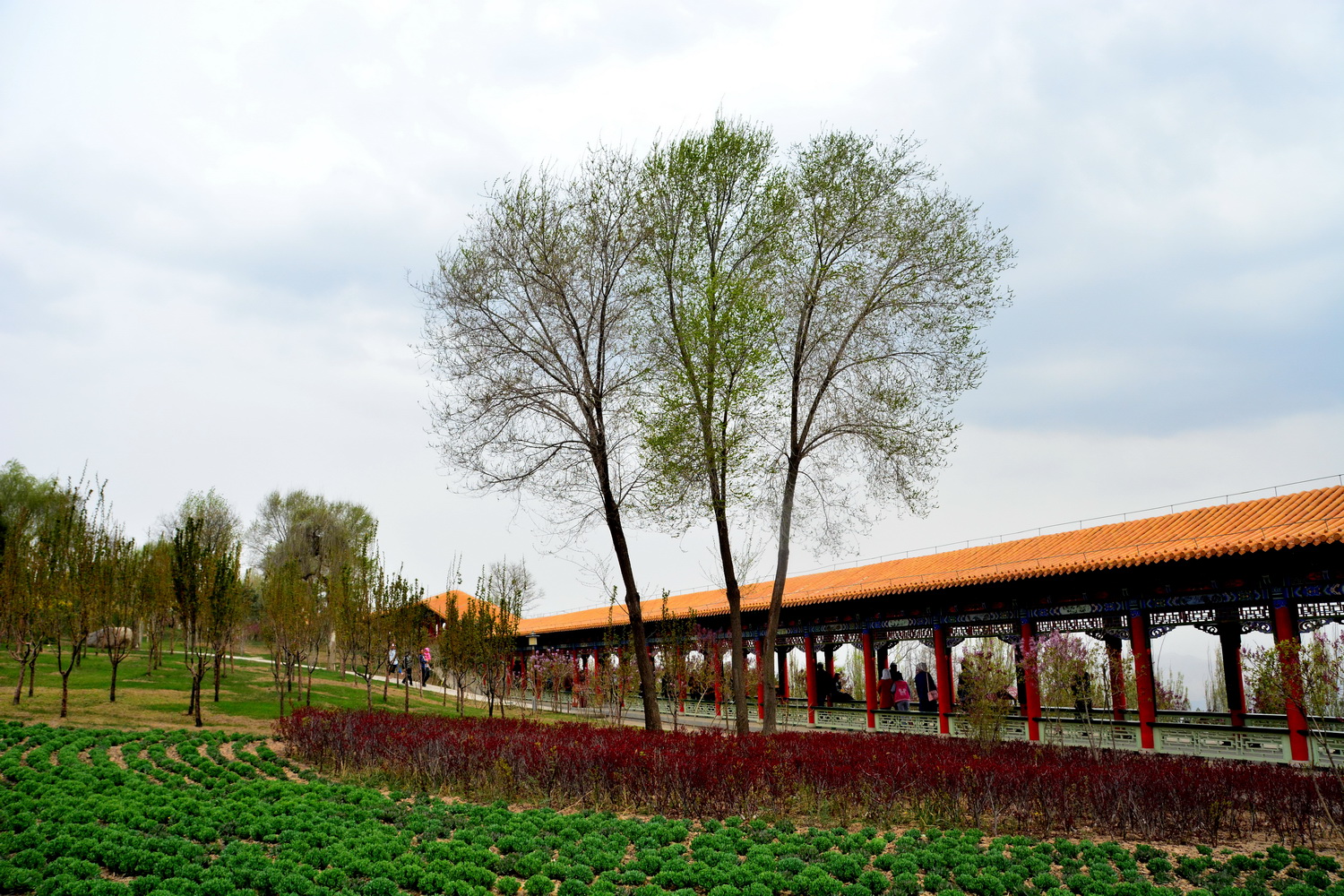 兰山公园在皋兰山上吗,站在兰山看风景
