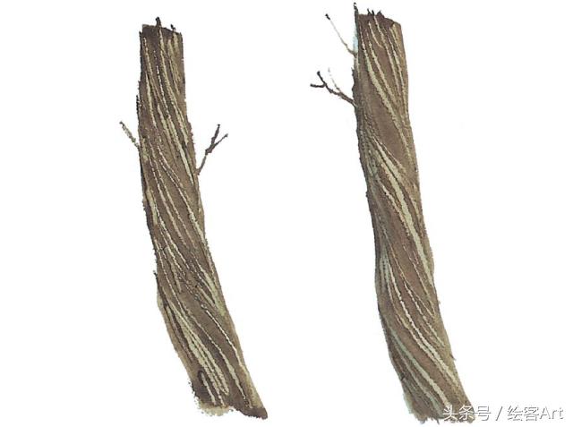从一片树叶到一片树林,大树的树干画法步骤
