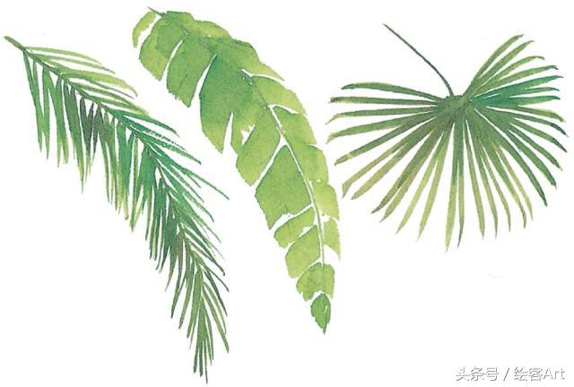 从一片树叶到一片树林,大树的树干画法步骤