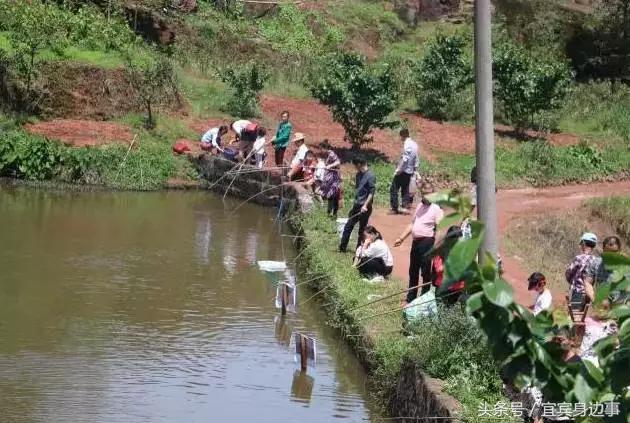 小龙虾基地钓龙虾,瑶海野钓龙虾的最佳地点