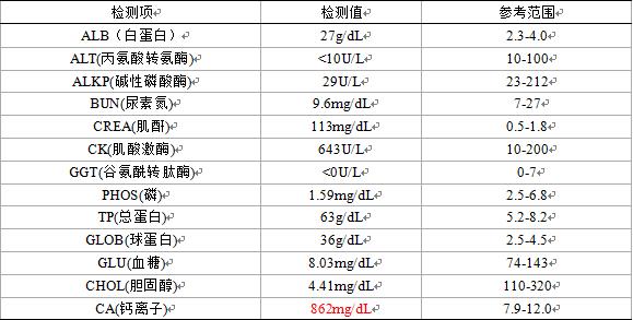母猫乳腺肿块怎么治疗好,乳腺肿瘤最新研究结果