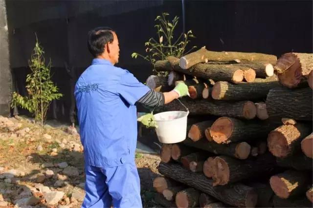 鍥涘窛閫氭睙绗竴缇庝汉,閫氭睙绗竴缇庝汉鏄皝