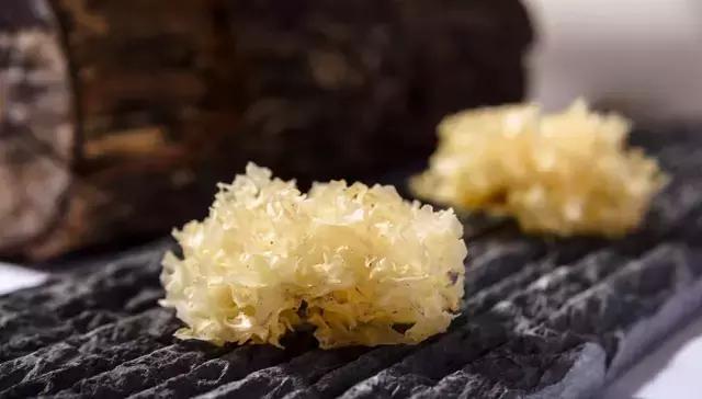 鍥涘窛閫氭睙绗竴缇庝汉,閫氭睙绗竴缇庝汉鏄皝