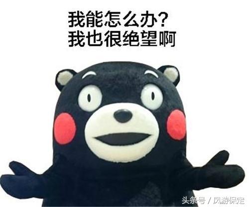 千面白石山：你爱的样子我都有