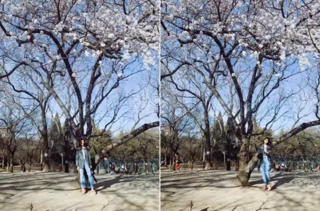 300块左右的小白鞋,刘雯同款小个子增高松糕小白鞋