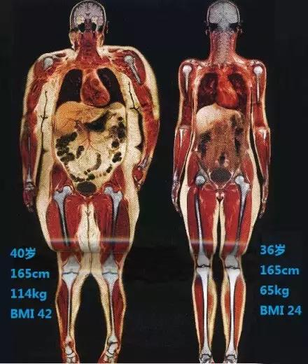 鐪嬪畬杩欎釜瑙嗛浣犱細鐢ㄧ敓鍛藉幓鍑忚偉,鐪嬪畬杩欎簺浣犱細鐢ㄧ敓鍛藉幓鍑忚偉